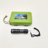 5.11 DIVEMASTER: RECHARGEABLE DIVE LIGHT FOR UNDERWATER EXPLORATION